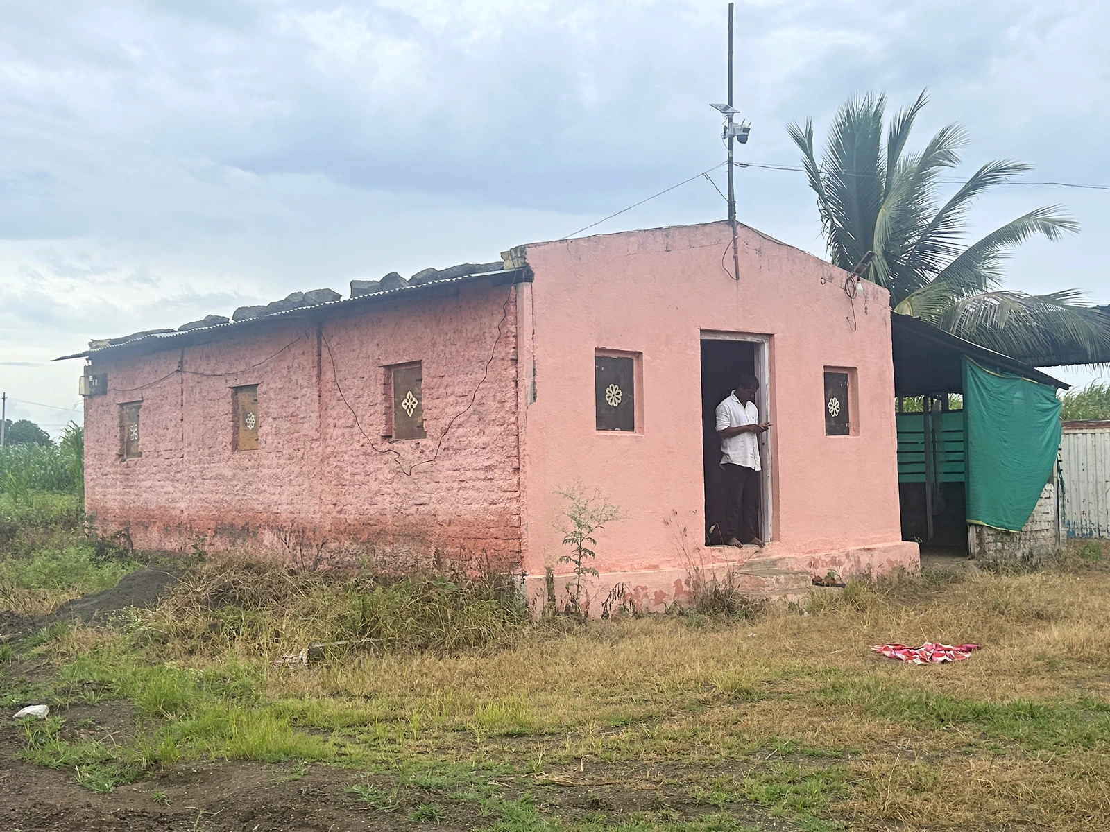 A small pink building beside grass and a palm tree.