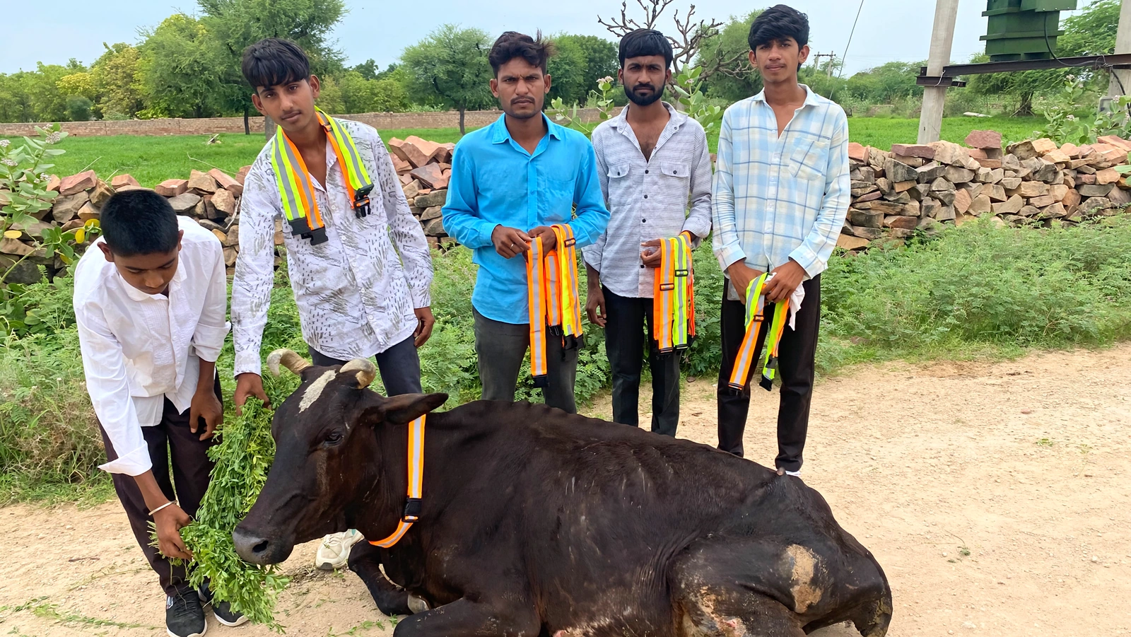 Pakistani Hindu refugee gau raksha